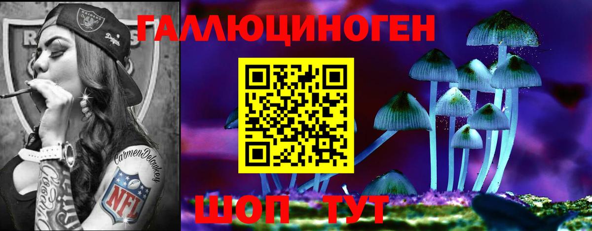 Псилоцибиновые грибы Psilocybe  Псилоцибиновые грибы Psilocybine cubensis  Вход с VPN  Ирбит 